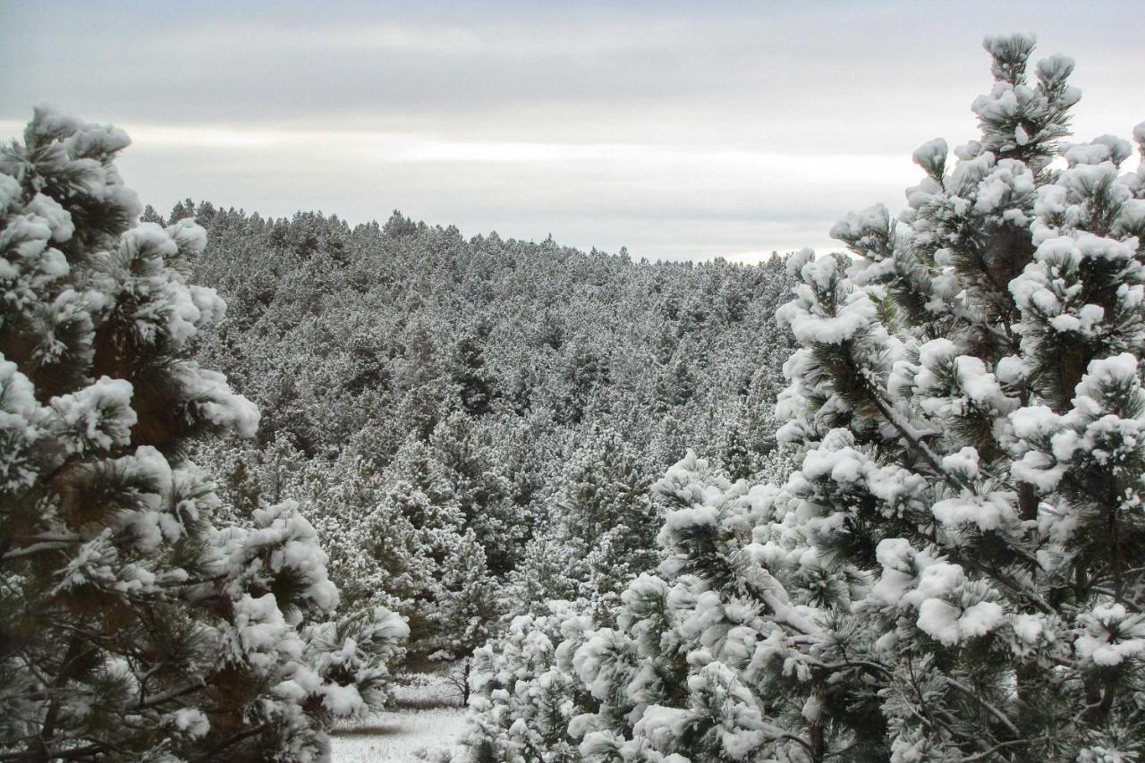 The Apartment Retreat Near Mount Rushmore Hermosa Buitenkant foto